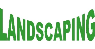 logo1.JPG (11133 bytes)